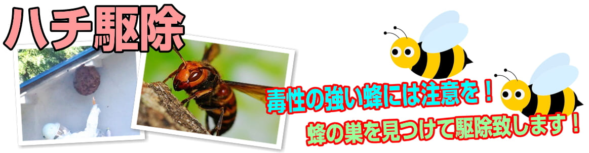 蜂の巣駆除のご依頼も