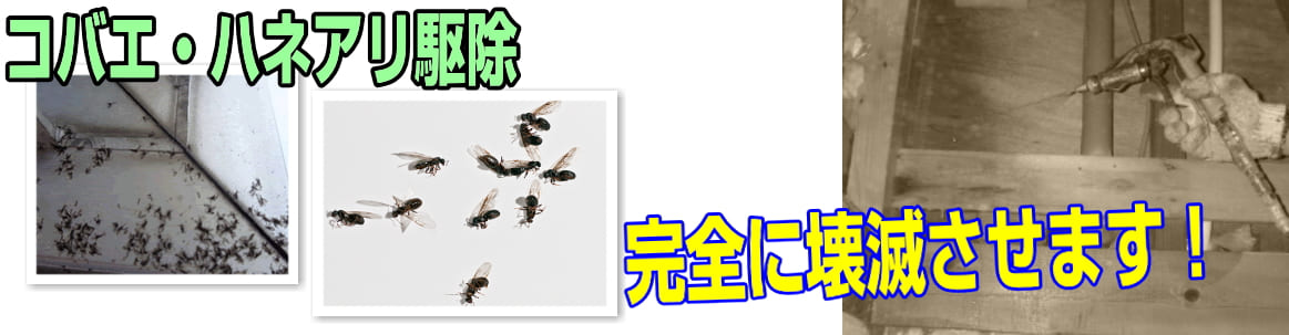 コバエ・ハネアリなど飛び回る不快な害虫も駆除