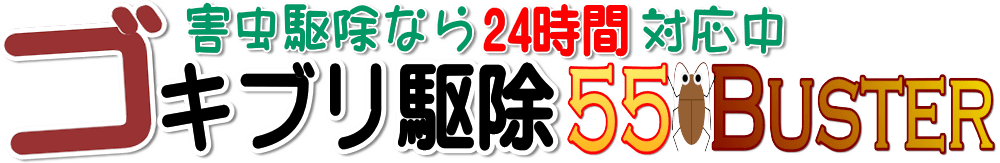 ゴキブリ・ねずみ・蜘蛛・ムカデの害虫駆除