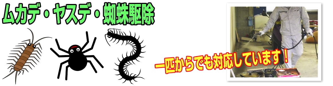 ムカデ・ヤスデ・蜘蛛などの不快害虫駆除でも