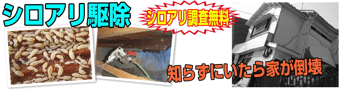 シロアリ駆除のご相談
